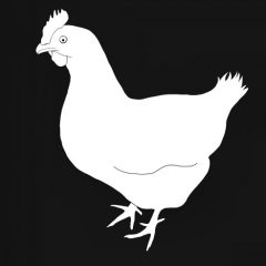 Dr Catherine Oliver PhD