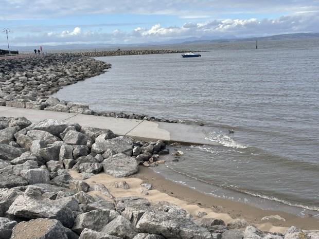 C97F6332-A103-4611-B041-79F6EBAB61F6